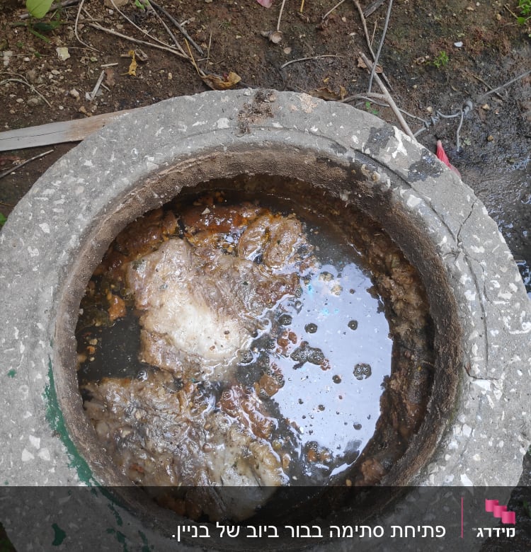 בור ביוב עם מים עומדים ולכלוך